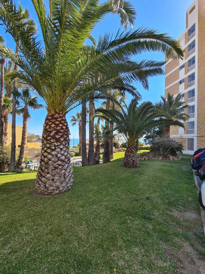Room In Apartment - 1St Line Top Floor Apartment Carrer del Mar Exterior photo